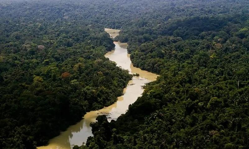 STF obriga União a combater crime organizado na Amazônia