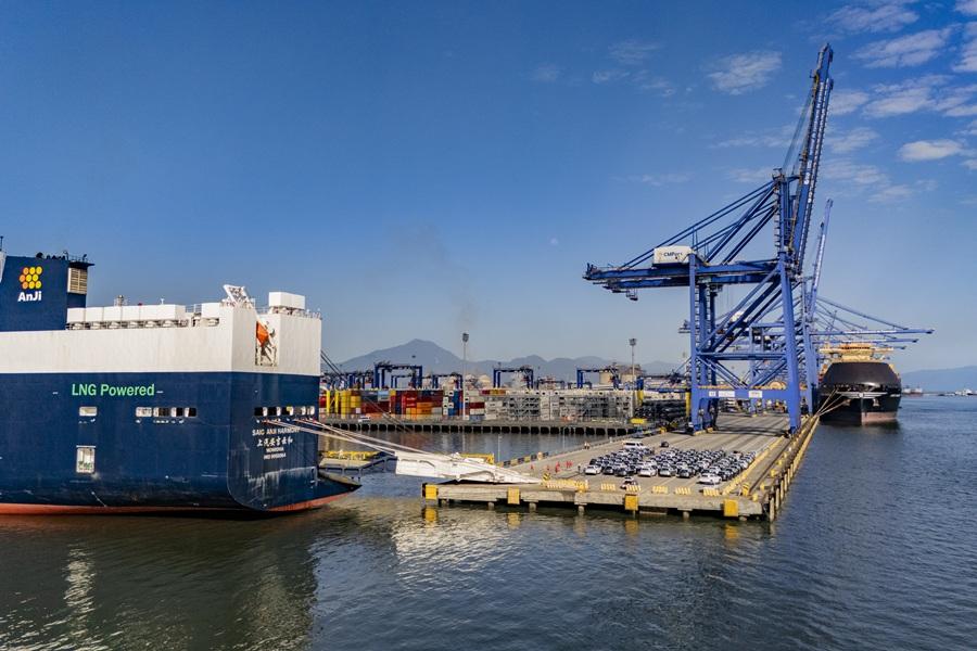 Porto de Paranaguá assume vice-liderança nacional na movimentação de veículos