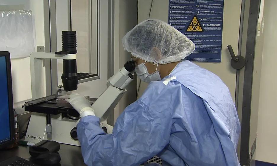 Como cientistas 