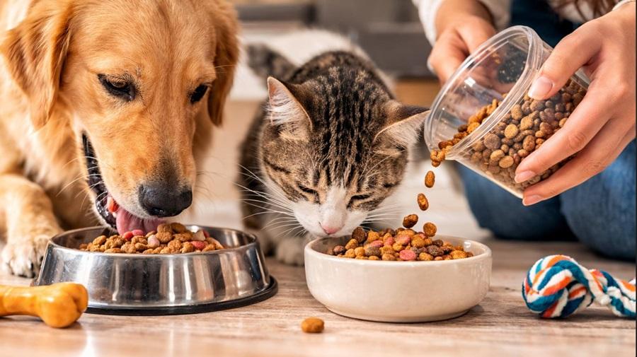 Como escolher a ração certa para o seu pet: guia completo para uma alimentação saudável