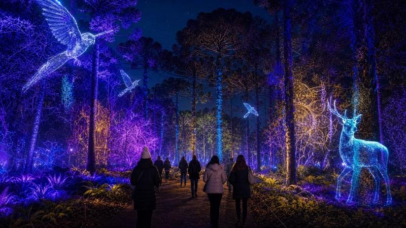 Prefeitura transforma o Passeio Público na casa do Inverno Encantado de Curitiba