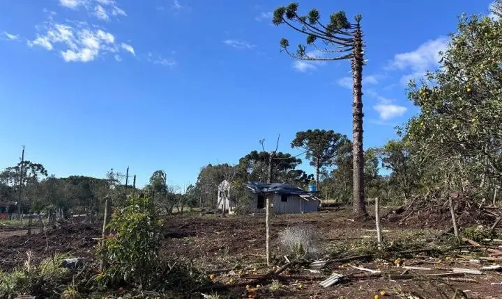 Simepar confirma tornado da categoria F2 em Reserva